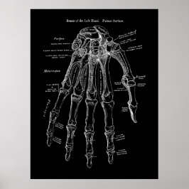 Poster Arte da Anatomia do Osso Humano
