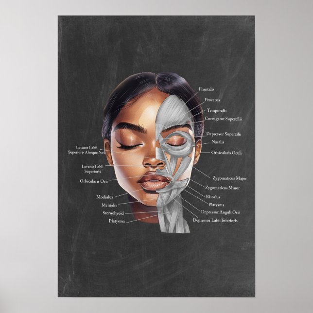 Poster Arte da Anatomia Facial da Bela Mulher Negra (Frente)