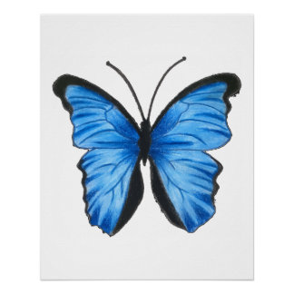 Póster Arte da Borboleta Azul
