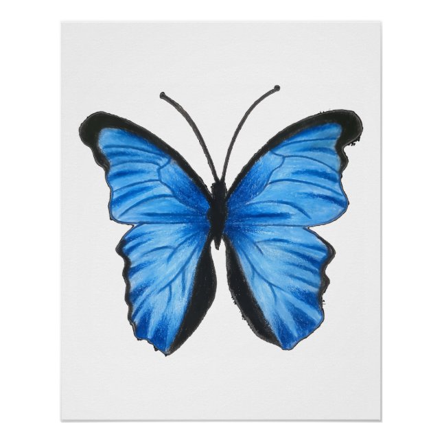Póster Arte da Borboleta Azul (Frente)