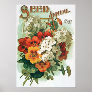 Póster Arte da capa do catálogo de sementes da Eastman, 1