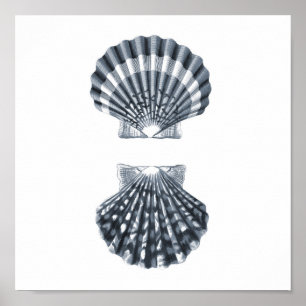Poster Arte da decoração da praia de Sealife Group12A