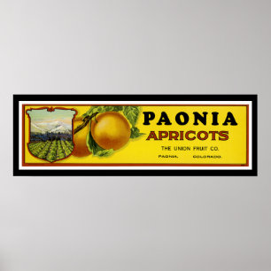 Poster Arte da etiqueta dos abricós de Paonia