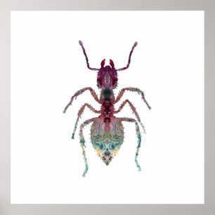 Poster Arte da formiga