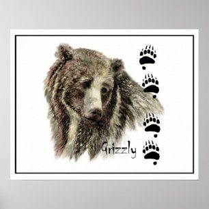 Poster Arte da natureza animal de urso de urso da