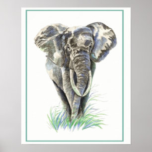 Póster Arte da natureza animal do elefante da aguarela