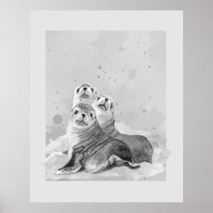 Poster Arte da Natureza Animal Marinho Família de Focas A