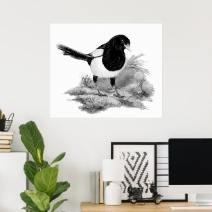 Poster Arte da Natureza do Pássaro Pega-Rabo Curioso em A