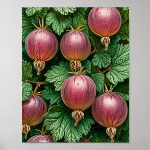 Poster Arte da Natureza Gooseberry
