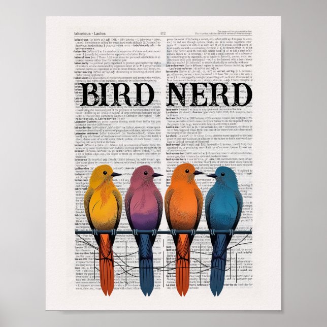 Poster Arte da página do dicionário do Nerd de pássaros (Frente)