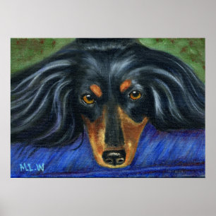 Póster Arte da raça do cão do Dachshund - Hallie