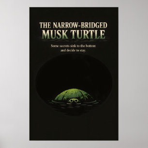 Poster Arte da Tartaruga-Muscosa de Ponte Estreita