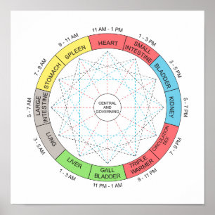 Poster Arte de Acupuntura do Ciclo Horário de Cor