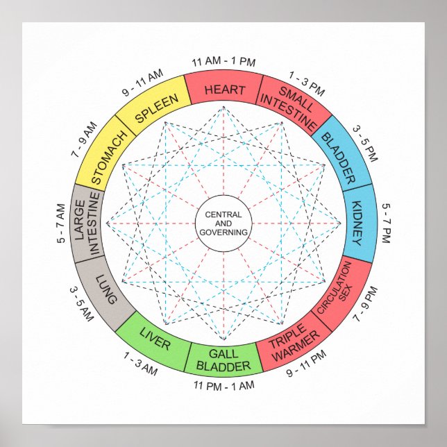 Poster Arte de Acupuntura do Ciclo Horário de Cor (Frente)