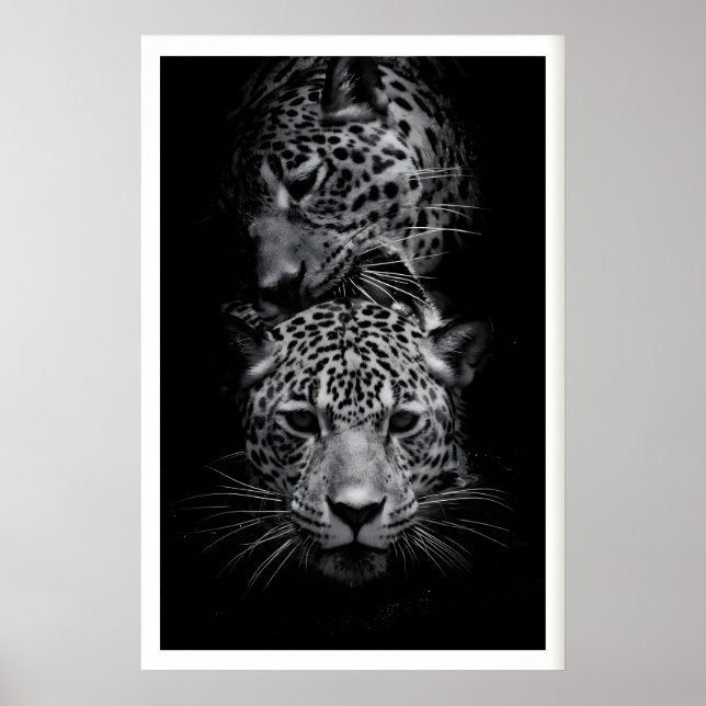 Poster Arte de Animais Selvagens Preto e Branco com Rosto (Frente)