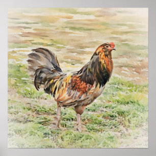 Poster Arte de Aquarela Russo Rooster