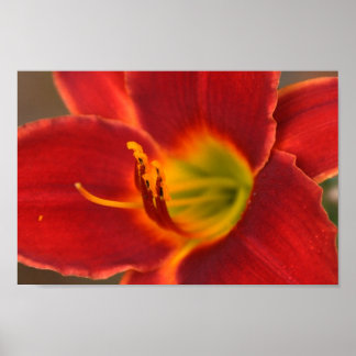 Póster Arte de Augle.