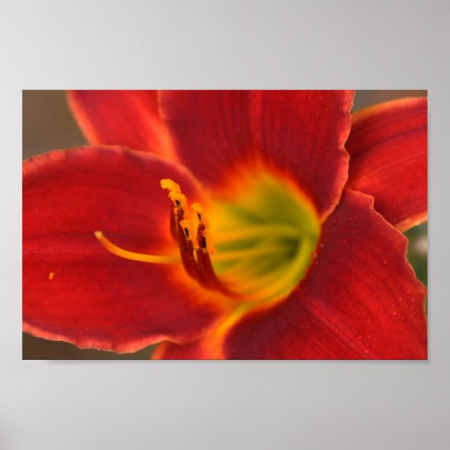 Póster Arte de Augle. (Frente)