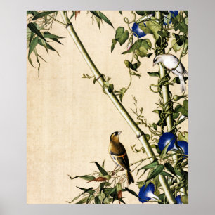 Poster Arte de Bambú Antigo e Maravilha-da-Manhã Azul
