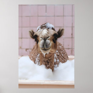 Poster Arte de Banho de Bolhas de Camelo Engraçado, Anima