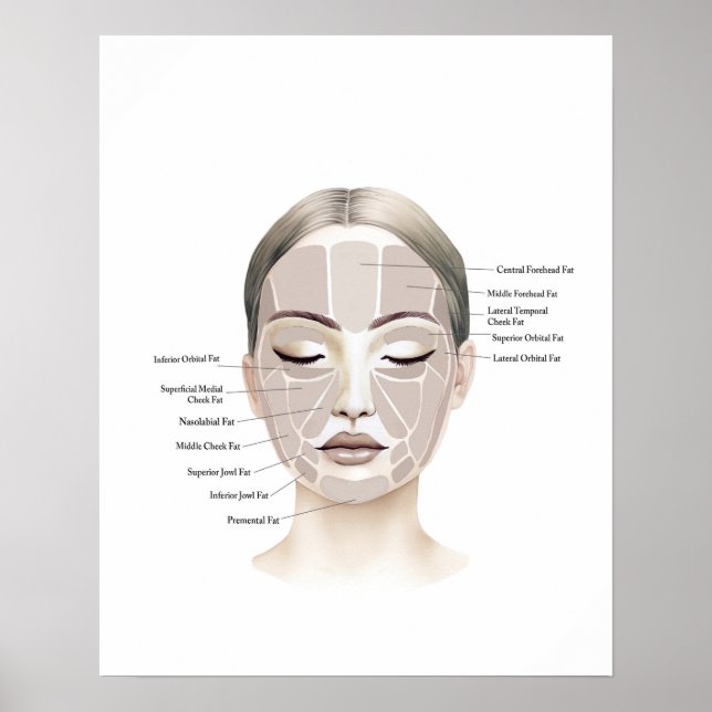 Poster Arte de beleza com anatomia facial (Frente)