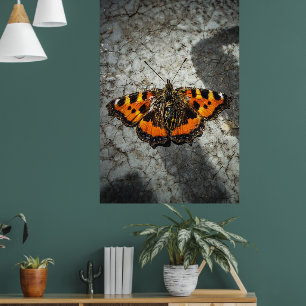 Poster Arte de borrão de foto de tartaruga com estilo bor