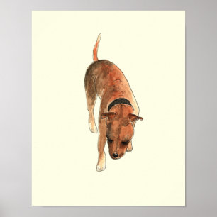 Poster Arte de cachorro em aquarela divertida do Stafford