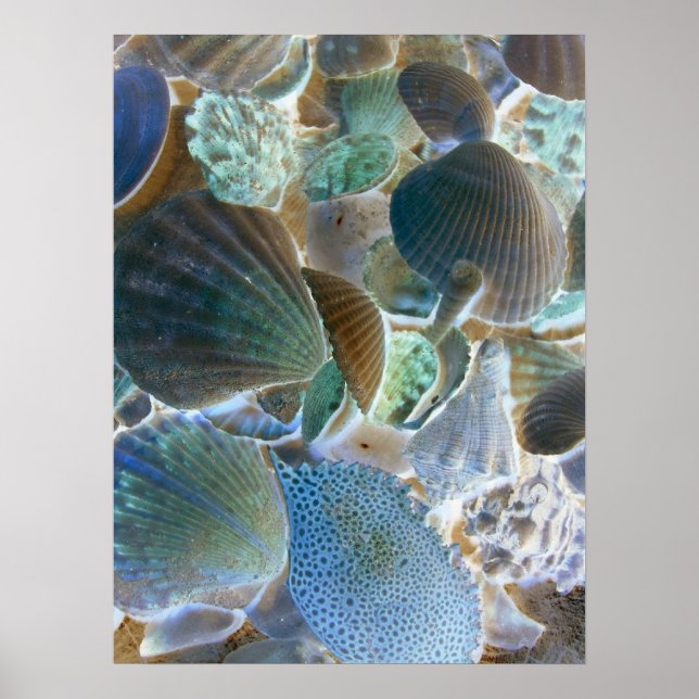 Póster Arte de Canvas de Conchas do Mar Azul (Frente)