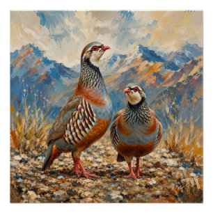 Póster Arte de casal de perdiz Chukar