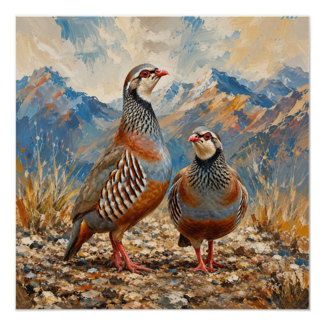 Póster Arte de casal de perdiz Chukar (Frente)