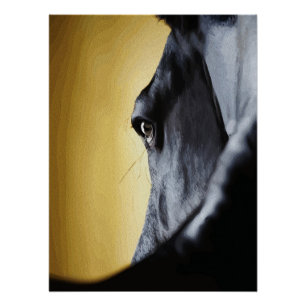 Póster Arte de Close-Up do Olho de Cavalo Majestoso
