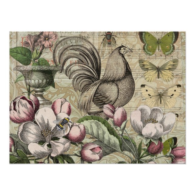 Póster Arte de Colagem de Jardim com Galo Vintage: País F (Frente)