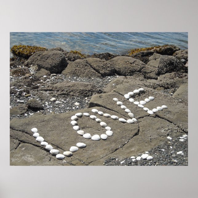 Póster Arte de Conchas na Praia (Frente)