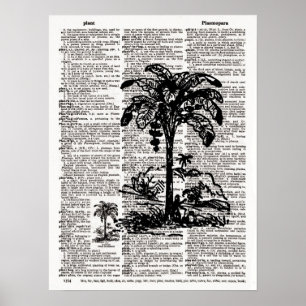 Poster Arte de Dicionário de Árvore Palm