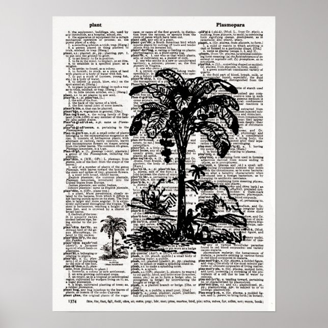 Poster Arte de Dicionário de Árvore Palm (Frente)