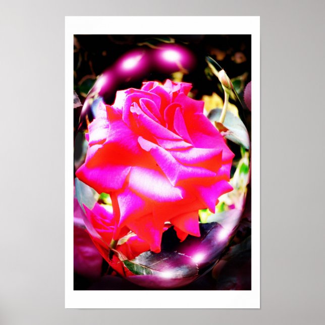 Póster arte de espíritos de rosa (Frente)
