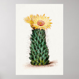 Poster Arte de Esquema de Flor Amarelo