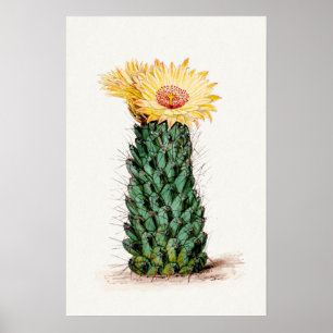 Poster Arte de Esquema de Flor Amarelo