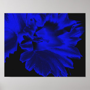 Poster Arte de Flor Abstrato Daffodil Elétrica Azul
