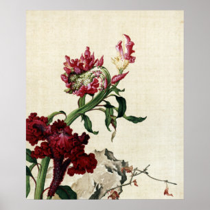 Poster Arte de Flor de Crista de Galo Vermelha em Chinois