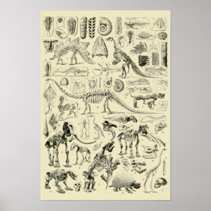 Poster Arte de Fósseis Ósseos do Dinossauro Vintage