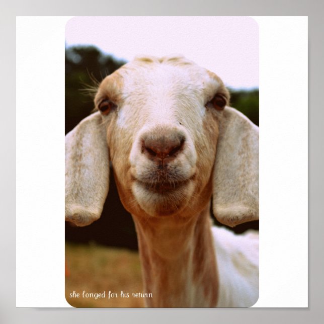 Poster Arte de Goat (Frente)