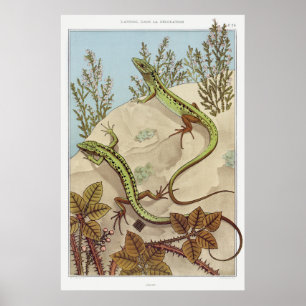 Poster Arte de Ilustração Vintage em Dois Lizards