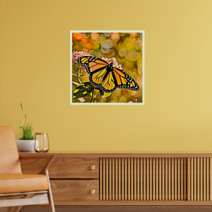 Poster Arte de Jardim da Borboleta Monarca