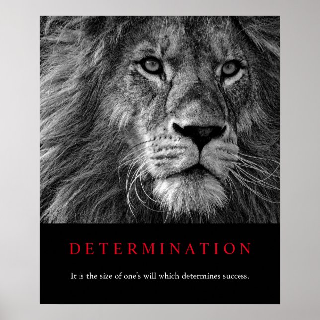Poster Arte de Leão de Determinação Motivada Preta e Bran (Frente)