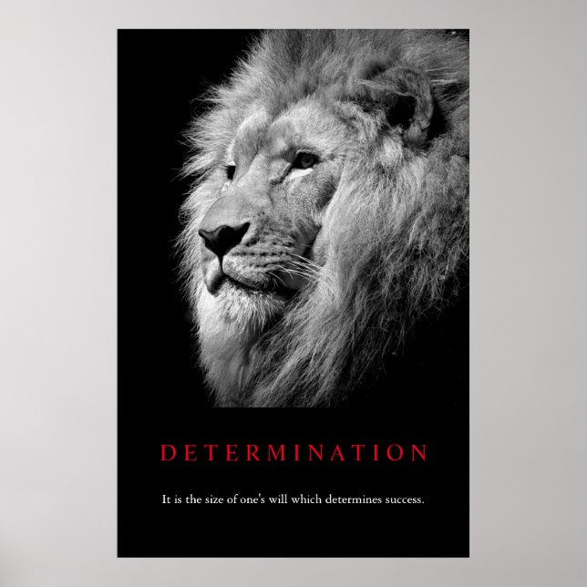 Poster Arte de Leão de Determinação Motivada Preta e Bran (Frente)