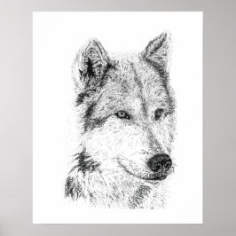Poster Arte de Lobo da Pradaria Desenhado à Mão Chacal Co