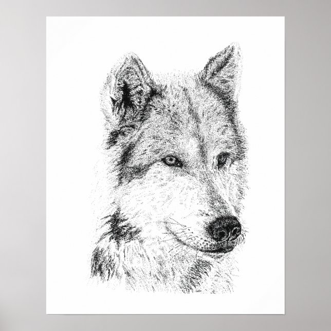 Poster Arte de Lobo da Pradaria Desenhado à Mão Chacal Co (Frente)