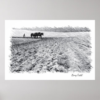 Poster Arte de longo campo