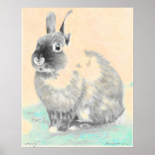 Póster Arte de muro, arte original coelhinha